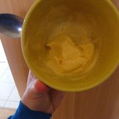 Sorbet aux pêches au sirop au companion - Mes Meilleures Recettes Faciles