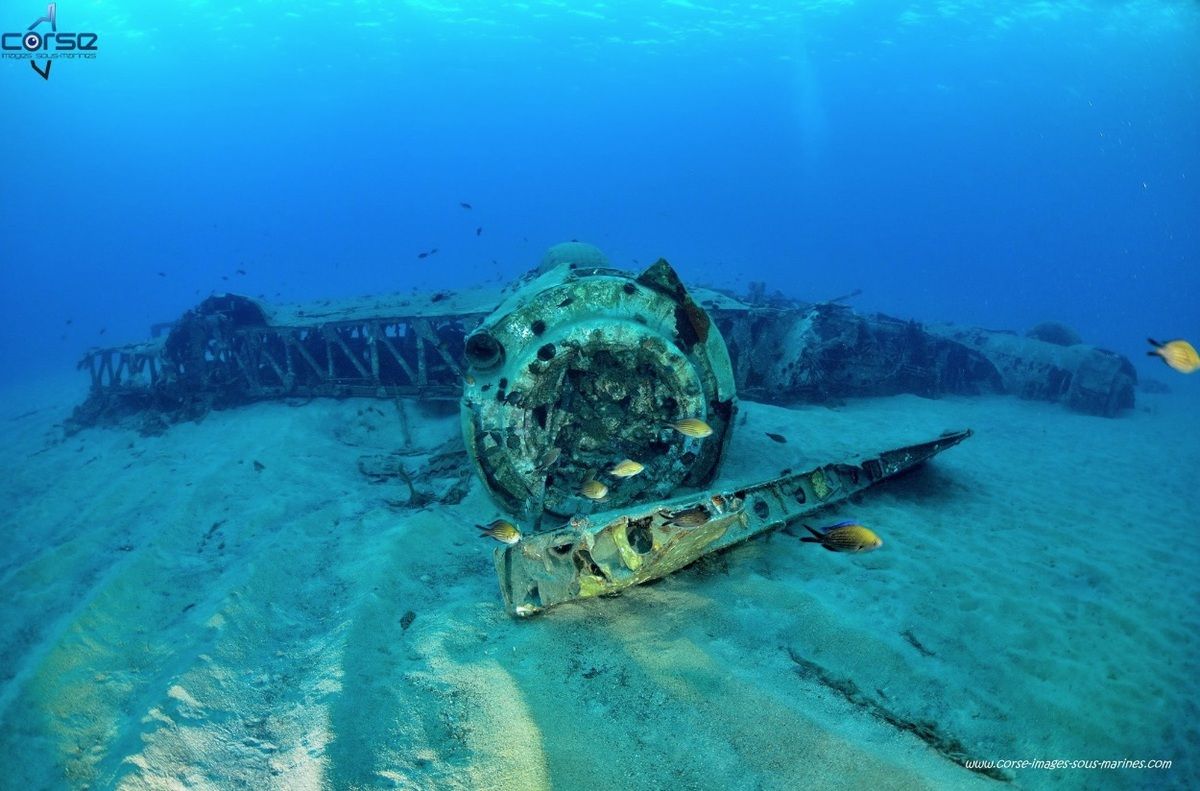 LE BOMBARDIER COTTON-EYED JOE II.