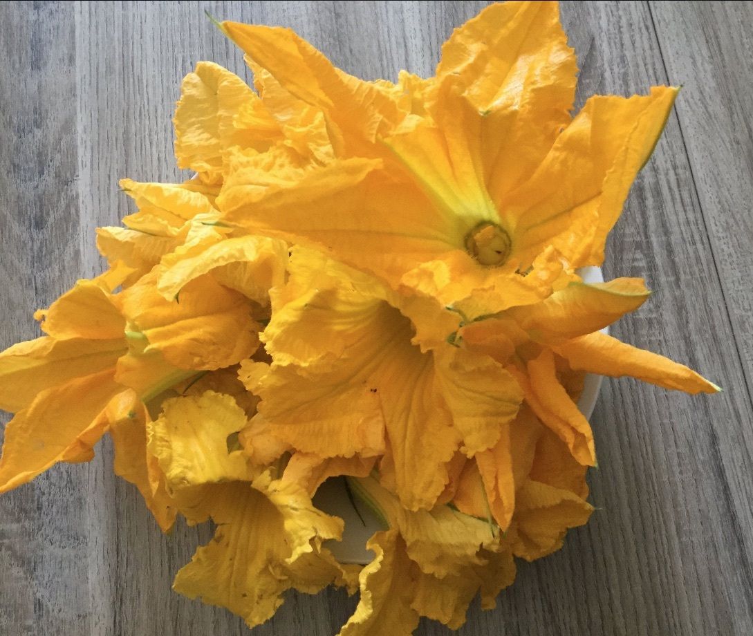 Beignets De Fleurs De Courgettes Corse Images Et Histoire