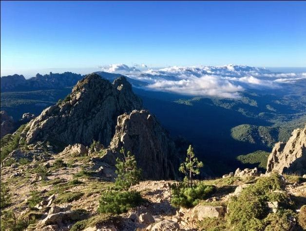 Le Haut-Taravo, un sanctuaire naturel et indiscutable