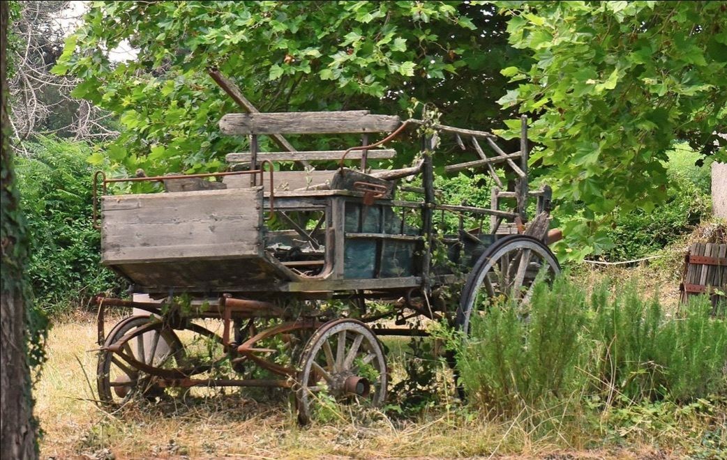La charrette abandonnée.
