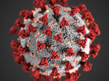 coronavirus et grippe espagnole : un peu d'histoire...