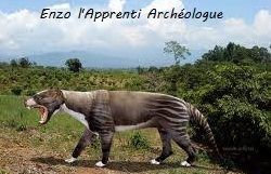Borhyaena