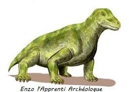 Representation d'un moschops