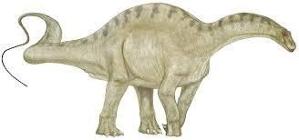 dicraeosaurus