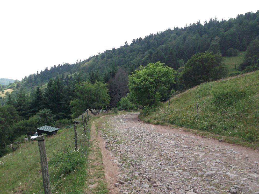 La ferme-auberge Strohberg, et le chemin qui descend au Boenlesgrab.          