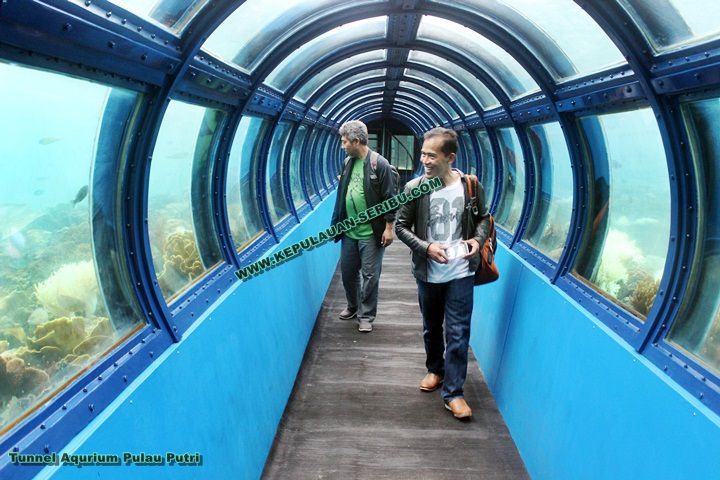 Tunnel Aquarium Pulau Putri