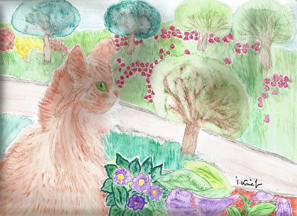 Le chat roux à la fenêtre, il observe les arbres verts et marrons,les fleurs roses,jaune,violet,le beau ciel bleu, aquarelle 24x32 cm d'isabelle krief, sur papier spécial