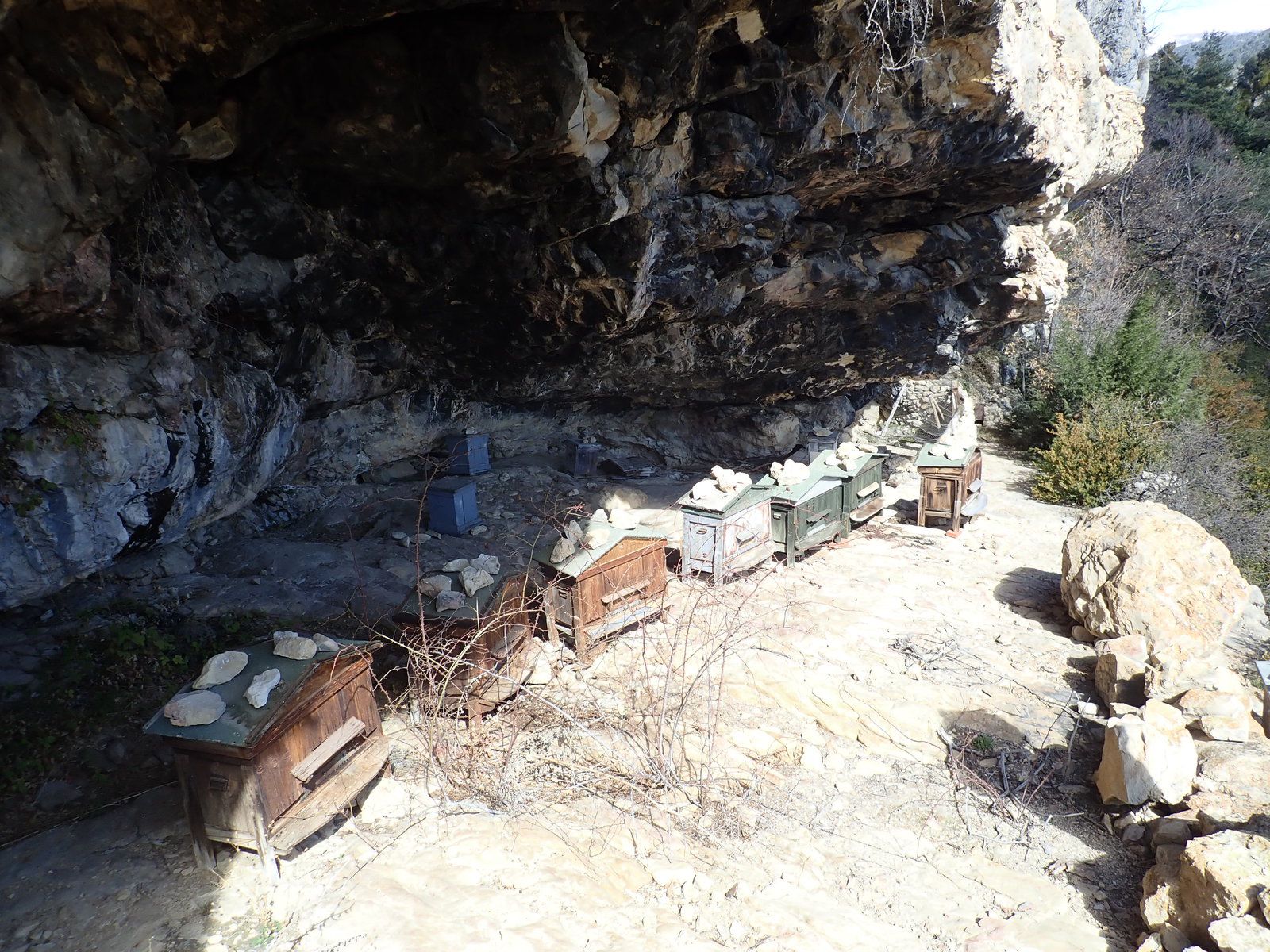 le rucher, l'entrée de la grotte jean-louis se trouve juste à droite (en regardant la falaise)