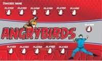 baseball banner with Angrybirds 