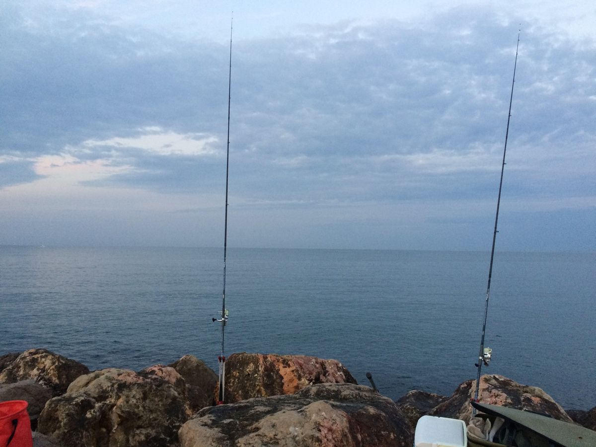 10/09/16 - En digue, avec les poulpes. - Surfcasting Méditerranée