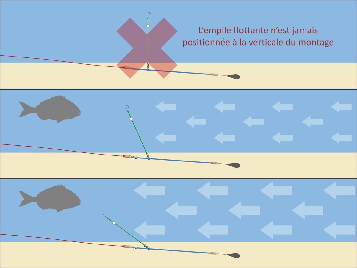 La longueur du bas de ligne - Surfcasting Méditerranée