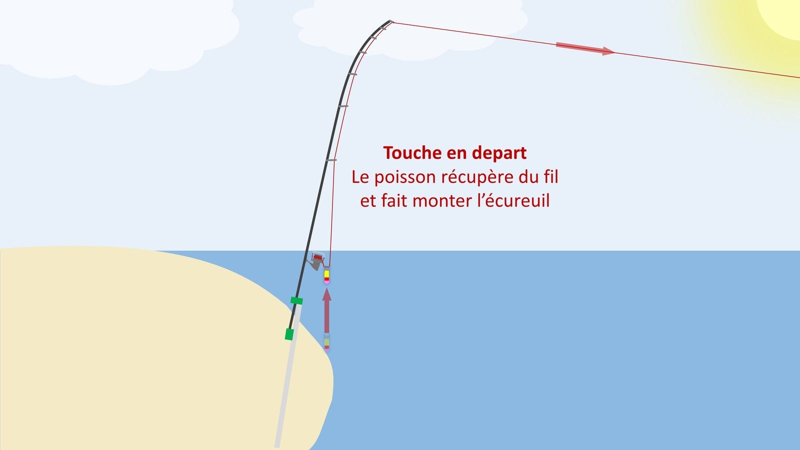 montage ecureuil peche carpe