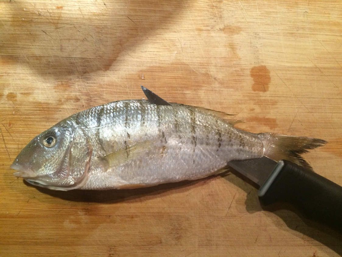 Lever les filets - Surfcasting Méditerranée