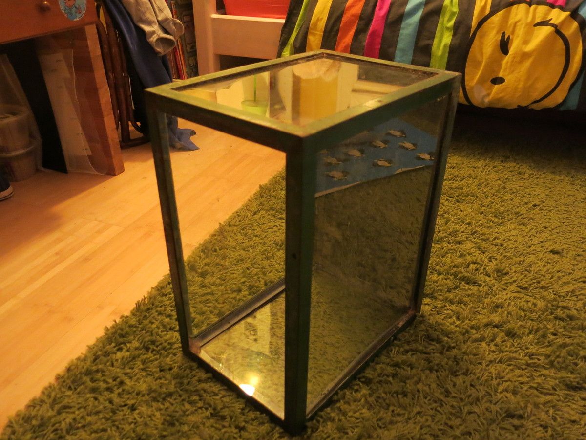 Tuto comment transformer un aquarium en terrarium ? Vavaphasme