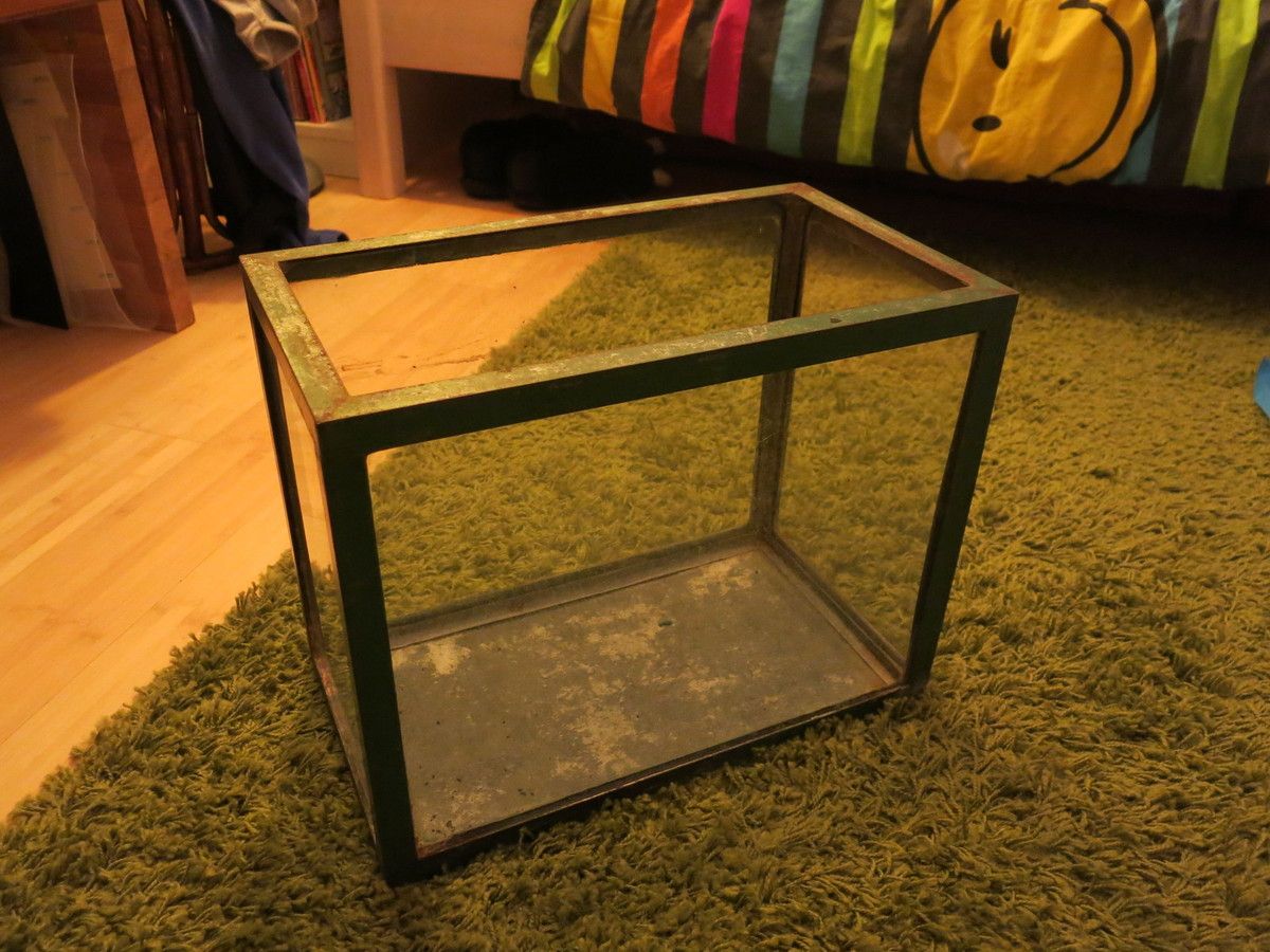 Tuto comment transformer un aquarium en terrarium ? Vavaphasme