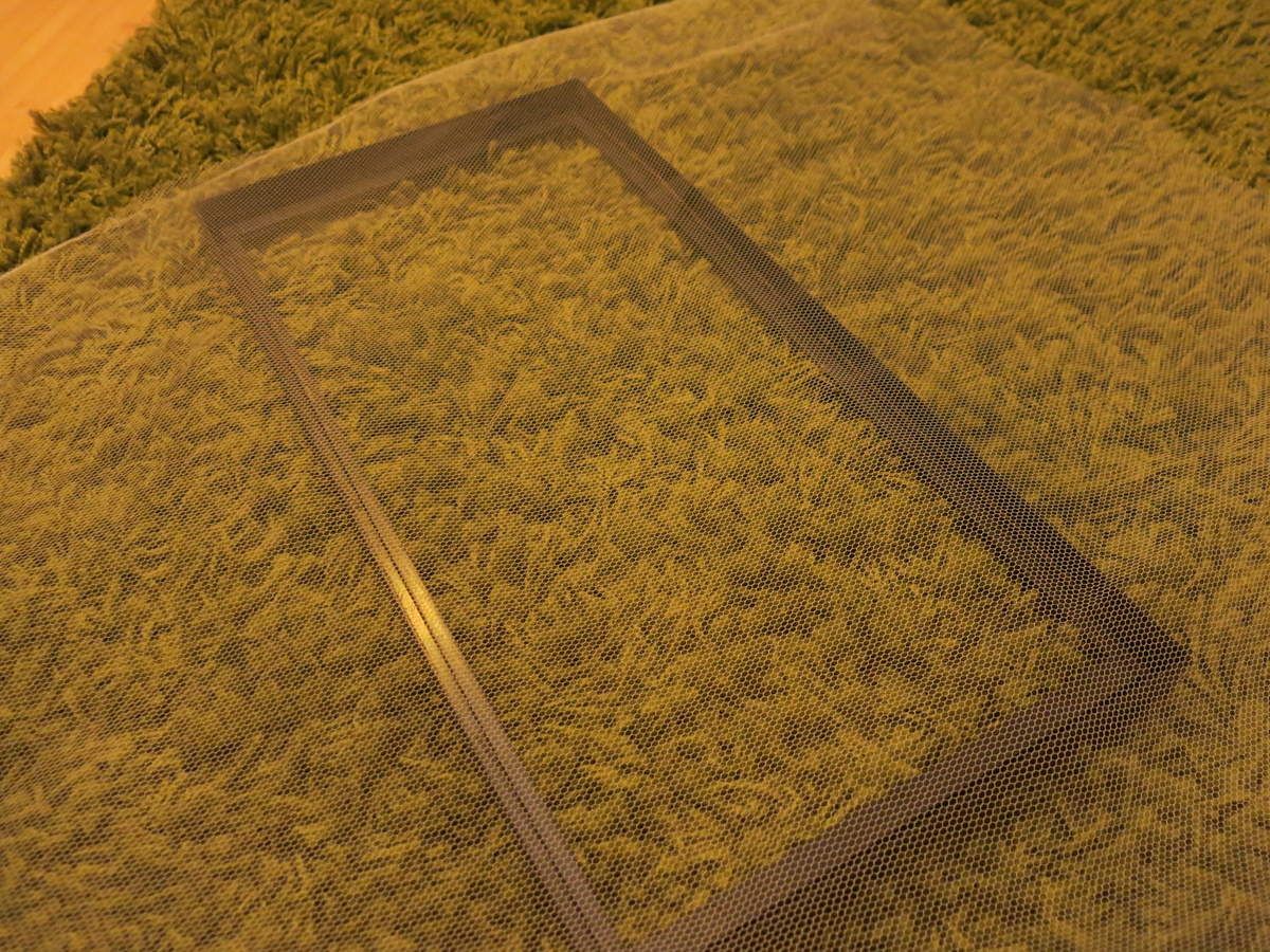 Tuto comment transformer un aquarium en terrarium ? Vavaphasme