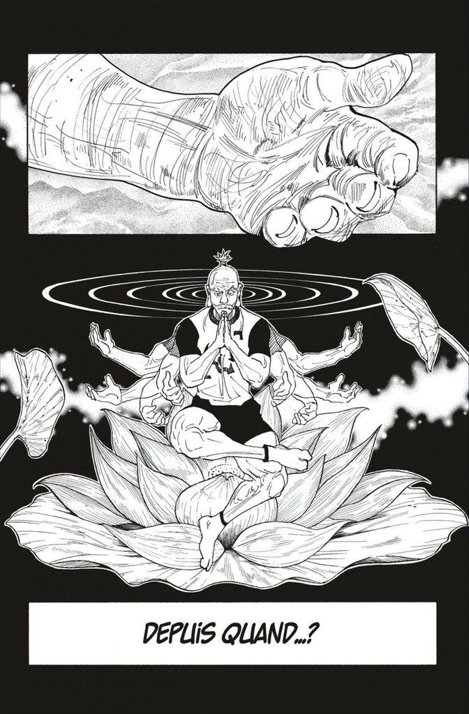 HUNTER X HUNTER / TOME 1 A 34 MANGA et ANIME vus par des passionnés