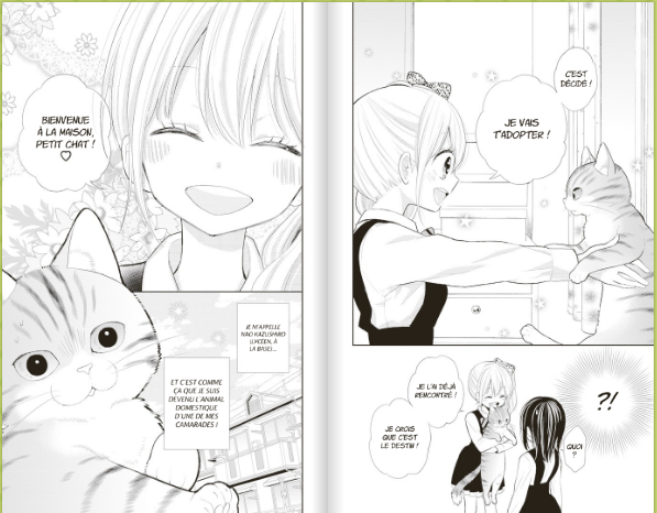 Chat Malgre Moi Tome 1 Manga Et Anime Vus Par Des Passionnes