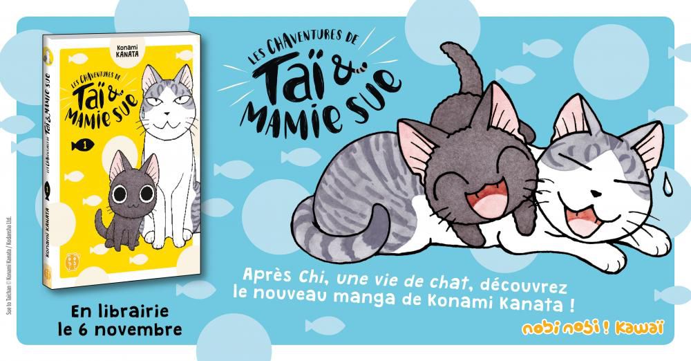 Les Chaventures De Tai Et Mamie Sue Tome 4 Les Chaventures de Taï et mamie Sue - MANGA et ANIME vus par des passionnés