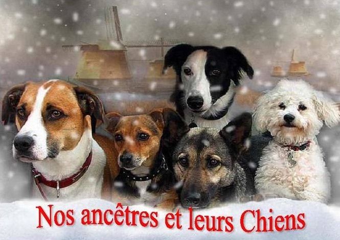 Nos ancêtres et leurs chiens