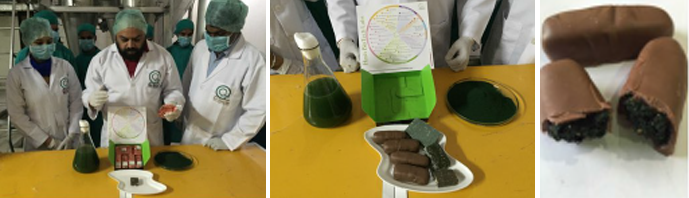 SPIRULINE ENTRECASTEAUX HAUT VAR FRANCE CYRIL RIBAS SYLVIE BEALLET SPIRULINE CANCER SIDA BIEN ÊTRE REGIME PERTE DE POIDS LEUCEMIE ALZHEIMER SOMMEIL GROSSESSE ALLAITEMENT ENCEINTE DIABETE CHOLESTEROL ALLERGIES SPORT SPORTIFS FER B12 VITAMINES MINERAUX PHYCOCYANINE ACIDES GRAS ESSENTIELS ACIDES AMINÉS RIPLEY FOX ARTHROSPIRA PLATENSIS ETUDES SCIENTIFIQUES LACS DE SPIRULINE NATURELS NATURELLES FEDERATION DES SPIRULINIERS DE FRANCE
