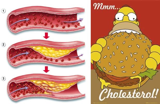 CHOLESTEROL SPIRULINE PAYSANNE FRANCAISE ENTRECASTEAUX HAUT VAR PROVENCE VERTE FRANCE CYRIL RIBAS SYLVIE BEALLET SPIRULINE CANCER SIDA BIEN ÊTRE REGIME PERTE DE POIDS LEUCEMIE ALZHEIMER SOMMEIL GROSSESSE ALLAITEMENT ENCEINTE DIABETE CHOLESTEROL ALLERGIES SPORT SPORTIFS FER B12 VITAMINES MINERAUX PHYCOCYANINE ACIDES GRAS ESSENTIELS ACIDES AMINÉS RIPLEY FOX ARTHROSPIRA PLATENSIS ETUDES SCIENTIFIQUES LACS DE SPIRULINE NATURELS NATURELLES FEDERATION DES SPIRULINIERS DE FRANCE