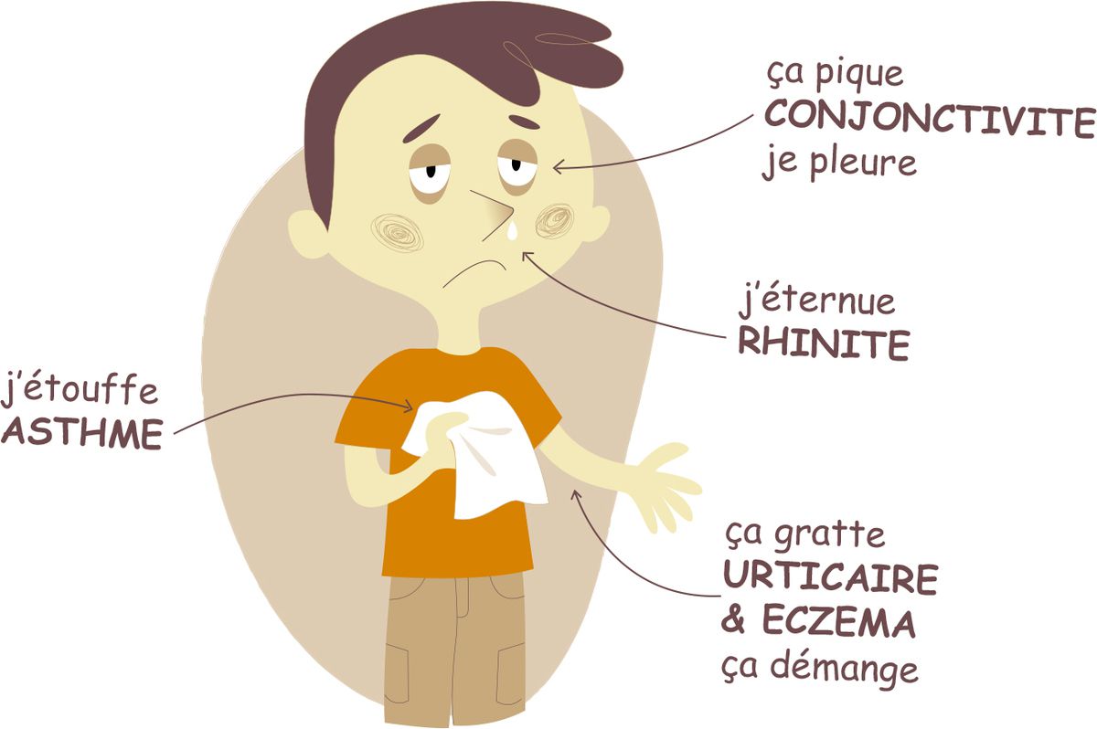 ALLERGIES CONJONCTIVITE RHINITE URTICAIRE ECZEMA ASTHME SPIRULINE PAYSANNE FRANCAISE ENTRECASTEAUX HAUT VAR PROVENCE VERTE FRANCE CYRIL RIBAS SYLVIE BEALLET SPIRULINE CANCER SIDA BIEN ÊTRE REGIME PERTE DE POIDS LEUCEMIE ALZHEIMER SOMMEIL GROSSESSE ALLAITEMENT ENCEINTE DIABETE CHOLESTEROL ALLERGIES SPORT SPORTIFS FER B12 VITAMINES MINERAUX PHYCOCYANINE ACIDES GRAS ESSENTIELS ACIDES AMINÉS RIPLEY FOX ARTHROSPIRA PLATENSIS ETUDES SCIENTIFIQUES LACS DE SPIRULINE NATURELS NATURELLES FEDERATION DES SPIRULINIERS DE FRANCE