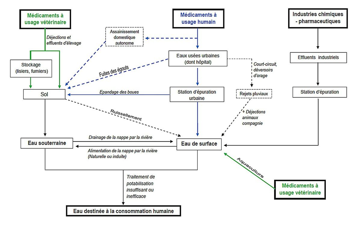POLLUTION MEDICAMENTS MEILLEURE SPIRULINE PAYSANNE FRANCAISE BRINDILLES PAILLETTES ECO RESPONSABLE ENTRECASTEAUX HAUT VAR PROVENCE VERTE FRANCE SPIRULINE BIO NATURELLE ARTISANALE ZERO RESIDU PESTICIDES ZERO PHYTO IDEES RECETTES ANTIOXYDANTS DEFENSES IMMUNITAIRES RADICAUX LIBRES CANCER SIDA BIEN ÊTRE REGIME MINCEUR PERTE DE POIDS LEUCEMIE ALZHEIMER SOMMEIL GROSSESSE ALLAITEMENT ENCEINTE DIABETE CHOLESTEROL ALLERGIES SPORT SPORTIFS FER B12 VITAMINES MINERAUX PHYCOCYANINE ACIDES GRAS ESSENTIELS ACIDES AMINÉS RIPLEY FOX ARTHROSPIRA PLATENSIS ETUDES SCIENTIFIQUES LACS DE SPIRULINE NATURELS NATURELLES FEDERATION DES SPIRULINIERS DE FRANCE ALLERGIE CHOLESTEROL POSOLOGIE CONTRE INDICATIONS LIVRES SOLIDAIRE HUMANITAIRE DEVELOPPEMENT DURABLE TOP QUALITE PORT GRATUIT ARTHROSPIRA PLATENSIS SPIRULINA ACHETER CHOISIR VENTE COMPRIMES GELULES POUDRE BEALLET SYLVIE RIBAS CYRIL SPIRULINE LIQUIDE AB ECOCERT NATURLAND