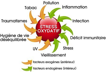 RADICAUX LIBRES ANTIOXYDANT STRESS OXYDATIF MEILLEURE SPIRULINE PAYSANNE FRANCAISE BRINDILLES PAILLETTES ECO RESPONSABLE ENTRECASTEAUX HAUT VAR PROVENCE VERTE FRANCE SPIRULINE BIO NATURELLE ARTISANALE ZERO RESIDU PESTICIDES ZERO PHYTO IDEES RECETTES ANTIOXYDANTS DEFENSES IMMUNITAIRES RADICAUX LIBRES CANCER SIDA BIEN ÊTRE REGIME MINCEUR PERTE DE POIDS LEUCEMIE ALZHEIMER SOMMEIL GROSSESSE ALLAITEMENT ENCEINTE DIABETE CHOLESTEROL ALLERGIES SPORT SPORTIFS FER B12 VITAMINES MINERAUX PHYCOCYANINE ACIDES GRAS ESSENTIELS ACIDES AMINÉS RIPLEY FOX ARTHROSPIRA PLATENSIS ETUDES SCIENTIFIQUES LACS DE SPIRULINE NATURELS NATURELLES FEDERATION DES SPIRULINIERS DE FRANCE ALLERGIE CHOLESTEROL POSOLOGIE CONTRE INDICATIONS LIVRES SOLIDAIRE HUMANITAIRE DEVELOPPEMENT DURABLE TOP QUALITE PORT GRATUIT ARTHROSPIRA PLATENSIS SPIRULINA ACHETER CHOISIR VENTE COMPRIMES GELULES POUDRE BEALLET SYLVIE RIBAS CYRIL SPIRULINE LIQUIDE AB ECOCERT NATURLAND