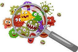 MICROBIOLOGIE SPIRULINE PAYSANNE FRANCAISE ENTRECASTEAUX HAUT VAR PROVENCE VERTE FRANCE ZERO RESIDU DE PESTICIDES ZERO PHYTO CYRIL RIBAS SYLVIE BEALLET SPIRULINE CANCER SIDA BIEN ÊTRE REGIME PERTE DE POIDS LEUCEMIE ALZHEIMER SOMMEIL GROSSESSE ALLAITEMENT ENCEINTE DIABETE CHOLESTEROL ALLERGIES SPORT SPORTIFS FER B12 VITAMINES MINERAUX PHYCOCYANINE ACIDES GRAS ESSENTIELS ACIDES AMINÉS RIPLEY FOX ARTHROSPIRA PLATENSIS ETUDES SCIENTIFIQUES LACS DE SPIRULINE NATURELS NATURELLES FEDERATION DES SPIRULINIERS DE FRANCE MEILLEURE SPIRULINE PAYSANNE FRANCAISE BRINDILLES PAILLETTES ECO RESPONSABLE ENTRECASTEAUX HAUT VAR PROVENCE VERTE FRANCE SPIRULINE BIO NATURELLE ARTISANALE ZERO RESIDU PESTICIDES ZERO PHYTO IDEES RECETTES ANTIOXYDANTS DEFENSES IMMUNITAIRES RADICAUX LIBRES CANCER SIDA BIEN ÊTRE REGIME MINCEUR PERTE DE POIDS LEUCEMIE ALZHEIMER SOMMEIL GROSSESSE ALLAITEMENT ENCEINTE DIABETE CHOLESTEROL ALLERGIES SPORT SPORTIFS FER B12 VITAMINES MINERAUX PHYCOCYANINE ACIDES GRAS ESSENTIELS ACIDES AMINÉS RIPLEY FOX ARTHROSPIRA PLATENSIS ETUDES SCIENTIFIQUES LACS DE SPIRULINE NATURELS NATURELLES FEDERATION DES SPIRULINIERS DE FRANCE ALLERGIE CHOLESTEROL POSOLOGIE CONTRE INDICATIONS LIVRES SOLIDAIRE HUMANITAIRE DEVELOPPEMENT DURABLE TOP QUALITE PORT GRATUIT ARTHROSPIRA PLATENSIS SPIRULINA ACHETER CHOISIR VENTE COMPRIMES GELULES POUDRE BEALLET SYLVIE RIBAS CYRIL SPIRULINE LIQUIDE AB ECOCERT NATURLAND