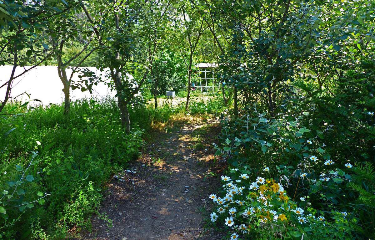 SPIRULINE PAYSANNE FRANCAISE ENTRECASTEAUX HAUT VAR PROVENCE VERTE FRANCE ZERO RESIDU DE PESTICIDES ZERO PHYTO CYRIL RIBAS SYLVIE BEALLET SPIRULINE CANCER SIDA BIEN ÊTRE REGIME PERTE DE POIDS LEUCEMIE ALZHEIMER SOMMEIL GROSSESSE ALLAITEMENT ENCEINTE DIABETE CHOLESTEROL ALLERGIES SPORT SPORTIFS FER B12 VITAMINES MINERAUX PHYCOCYANINE ACIDES GRAS ESSENTIELS ACIDES AMINÉS RIPLEY FOX ARTHROSPIRA PLATENSIS ETUDES SCIENTIFIQUES LACS DE SPIRULINE NATURELS NATURELLES FEDERATION DES SPIRULINIERS DE FRANCE MEILLEURE SPIRULINE PAYSANNE FRANCAISE BRINDILLES PAILLETTES ECO RESPONSABLE ENTRECASTEAUX HAUT VAR PROVENCE VERTE FRANCE SPIRULINE BIO NATURELLE ARTISANALE ZERO RESIDU PESTICIDES ZERO PHYTO IDEES RECETTES ANTIOXYDANTS DEFENSES IMMUNITAIRES RADICAUX LIBRES CANCER SIDA BIEN ÊTRE REGIME MINCEUR PERTE DE POIDS LEUCEMIE ALZHEIMER SOMMEIL GROSSESSE ALLAITEMENT ENCEINTE DIABETE CHOLESTEROL ALLERGIES SPORT SPORTIFS FER B12 VITAMINES MINERAUX PHYCOCYANINE ACIDES GRAS ESSENTIELS ACIDES AMINÉS RIPLEY FOX ARTHROSPIRA PLATENSIS ETUDES SCIENTIFIQUES LACS DE SPIRULINE NATURELS NATURELLES FEDERATION DES SPIRULINIERS DE FRANCE ALLERGIE CHOLESTEROL POSOLOGIE CONTRE INDICATIONS LIVRES SOLIDAIRE HUMANITAIRE DEVELOPPEMENT DURABLE TOP QUALITE PORT GRATUIT ARTHROSPIRA PLATENSIS SPIRULINA ACHETER CHOISIR VENTE COMPRIMES GELULES POUDRE BEALLET SYLVIE RIBAS CYRIL SPIRULINE LIQUIDE AB ECOCERT NATURLAND