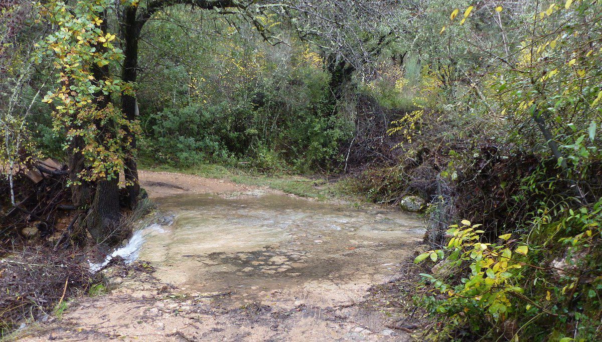 GUE SPIRULINE PAYSANNE FRANCAISE ENTRECASTEAUX HAUT VAR PROVENCE VERTE FRANCE ZERO RESIDU DE PESTICIDES ZERO PHYTO CYRIL RIBAS SYLVIE BEALLET SPIRULINE CANCER SIDA BIEN ÊTRE REGIME PERTE DE POIDS LEUCEMIE ALZHEIMER SOMMEIL GROSSESSE ALLAITEMENT ENCEINTE DIABETE CHOLESTEROL ALLERGIES SPORT SPORTIFS FER B12 VITAMINES MINERAUX PHYCOCYANINE ACIDES GRAS ESSENTIELS ACIDES AMINÉS RIPLEY FOX ARTHROSPIRA PLATENSIS ETUDES SCIENTIFIQUES LACS DE SPIRULINE NATURELS NATURELLES FEDERATION DES SPIRULINIERS DE FRANCE MEILLEURE SPIRULINE PAYSANNE FRANCAISE BRINDILLES PAILLETTES ECO RESPONSABLE ENTRECASTEAUX HAUT VAR PROVENCE VERTE FRANCE SPIRULINE BIO NATURELLE ARTISANALE ZERO RESIDU PESTICIDES ZERO PHYTO IDEES RECETTES ANTIOXYDANTS DEFENSES IMMUNITAIRES RADICAUX LIBRES CANCER SIDA BIEN ÊTRE REGIME MINCEUR PERTE DE POIDS LEUCEMIE ALZHEIMER SOMMEIL GROSSESSE ALLAITEMENT ENCEINTE DIABETE CHOLESTEROL ALLERGIES SPORT SPORTIFS FER B12 VITAMINES MINERAUX PHYCOCYANINE ACIDES GRAS ESSENTIELS ACIDES AMINÉS RIPLEY FOX ARTHROSPIRA PLATENSIS ETUDES SCIENTIFIQUES LACS DE SPIRULINE NATURELS NATURELLES FEDERATION DES SPIRULINIERS DE FRANCE ALLERGIE CHOLESTEROL POSOLOGIE CONTRE INDICATIONS LIVRES SOLIDAIRE HUMANITAIRE DEVELOPPEMENT DURABLE TOP QUALITE PORT GRATUIT ARTHROSPIRA PLATENSIS SPIRULINA ACHETER CHOISIR VENTE COMPRIMES GELULES POUDRE BEALLET SYLVIE RIBAS CYRIL SPIRULINE LIQUIDE AB ECOCERT NATURLAND