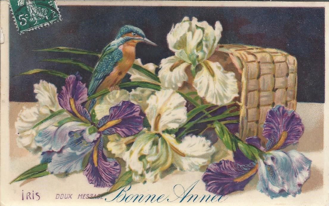 442 - IRIS -DOUX MESSAGE - BONNE ANNÉE - K.F. éditeurs- 13.01.1909 CHALINDREY (HM)