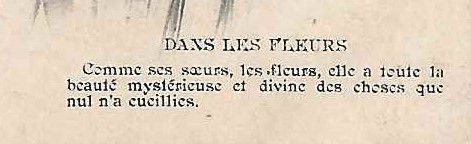 656 - DANS LES FLEURS - 06.09.1912