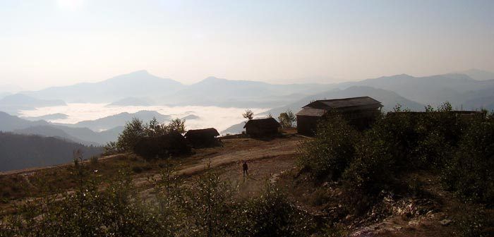 Sri Aurobindo Tapobhumi, l'ermitage himalayen à 2000m d'altitude