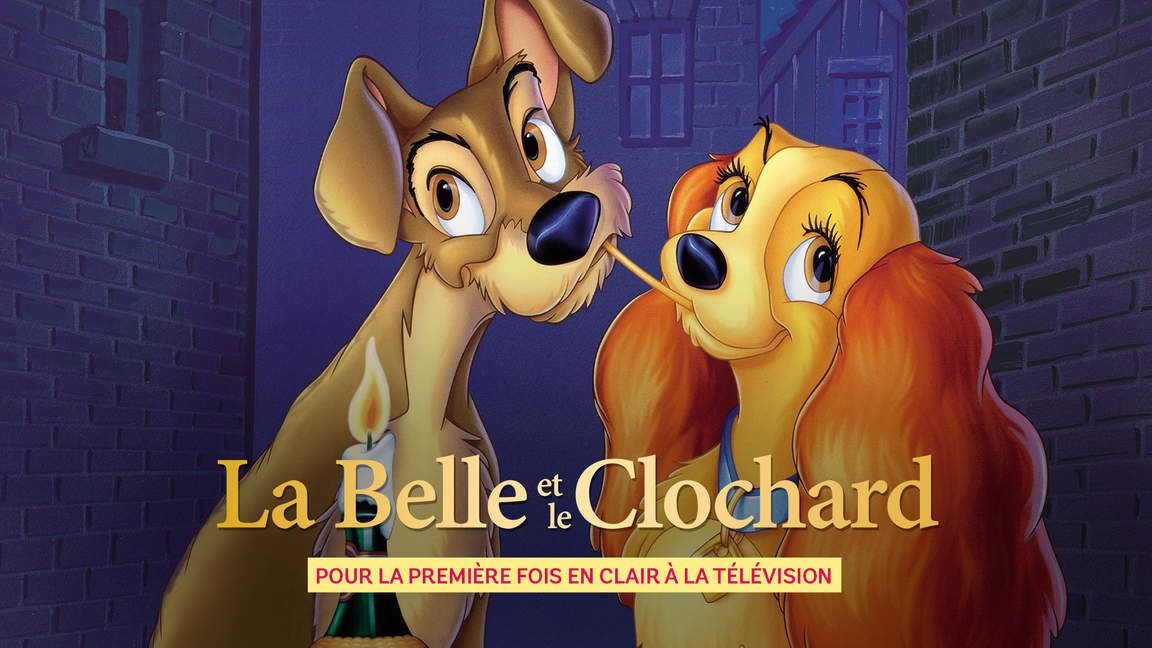 Inédit, La belle et le clochard, le mardi 16/04/2019 à 21h00 sur 6ter