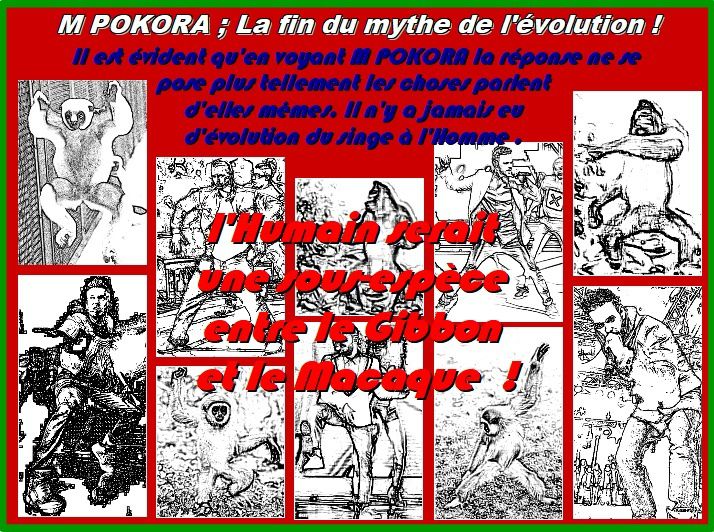 M POKORA et la fin du Mythe sur l'évolution !