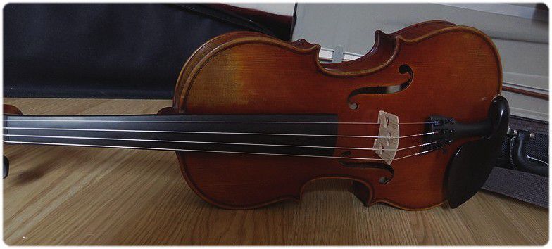 L'âme d'un violon