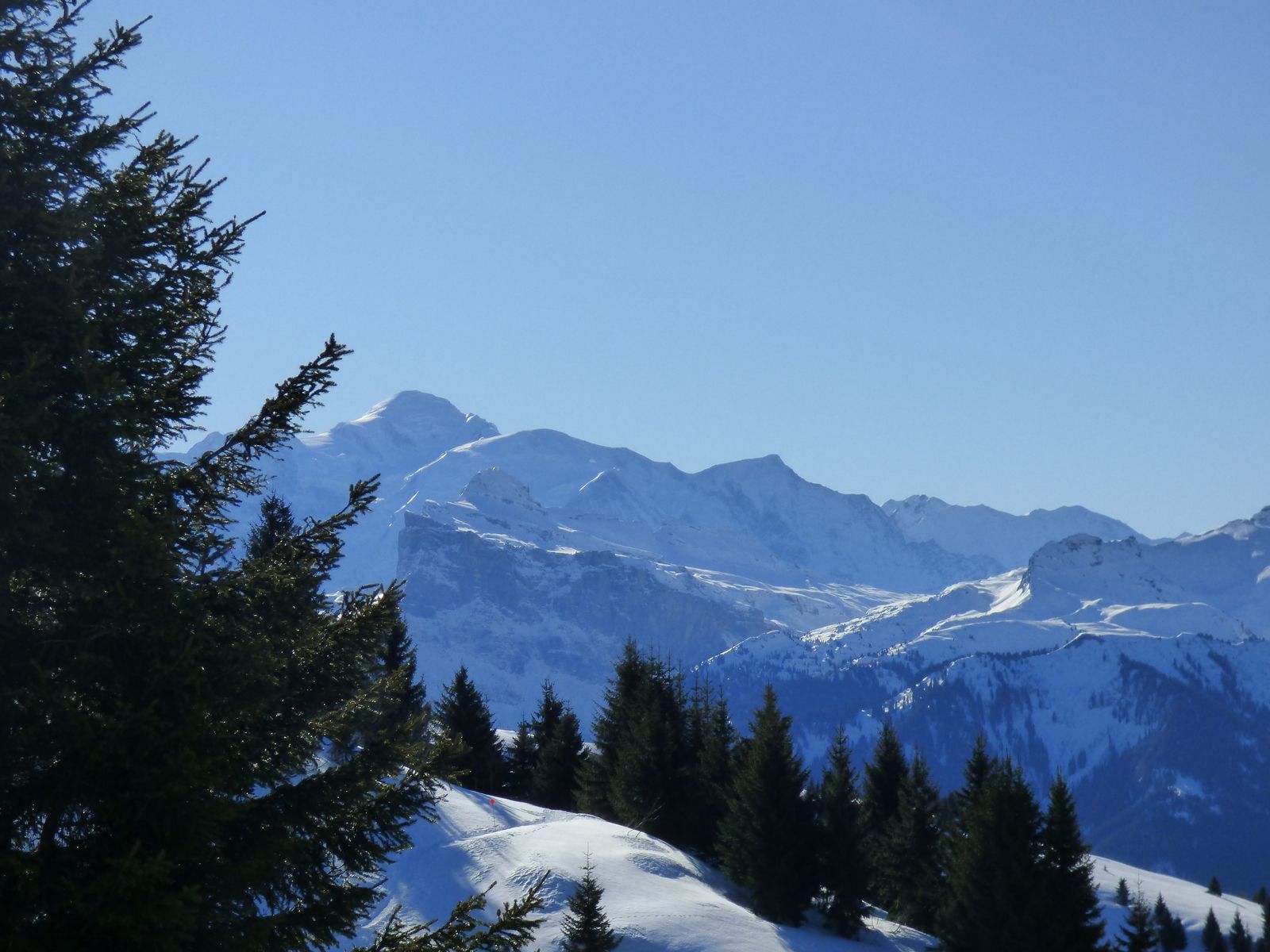 Le Mont Blanc