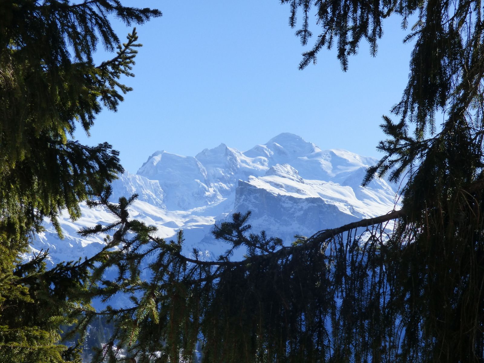 Face au Mont Blanc