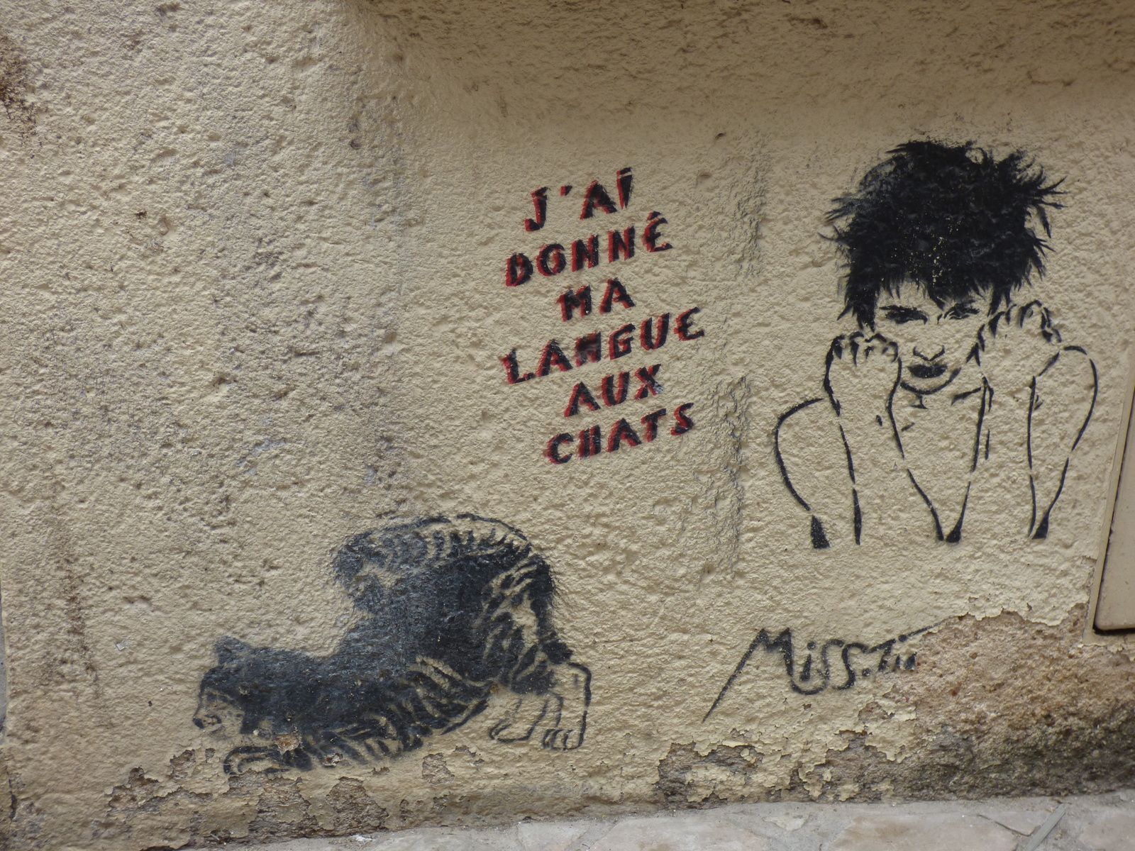 Street art Chartres : Miss Tic