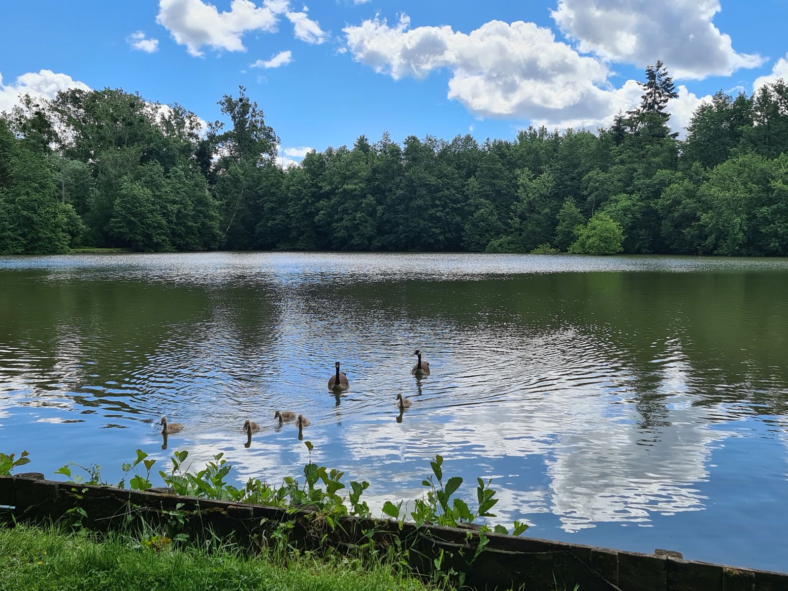 Les Fontaines Bouillantes, Dourdan