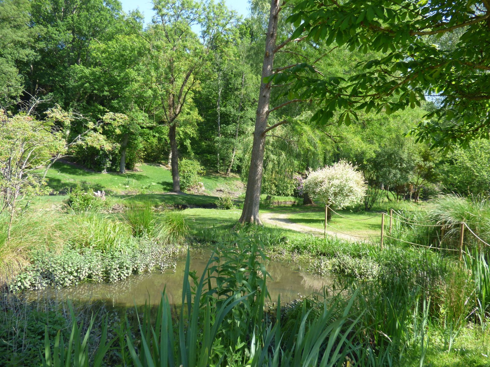 Domaine de Dampierre, le jardin anglais, mon coup de coeur