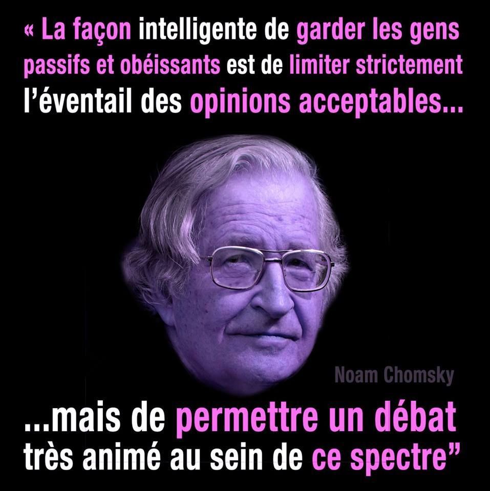 Belle Citation De Noam Chomsky Citoyen Du Laniakea Over Blog Com Belle Citation De Noam Chomsky Citoyen Du Laniakea Over Blog Com