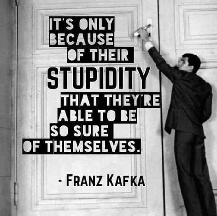 Belle Citation De Franz Kafka Citoyen Du Laniakea Over Blog Com