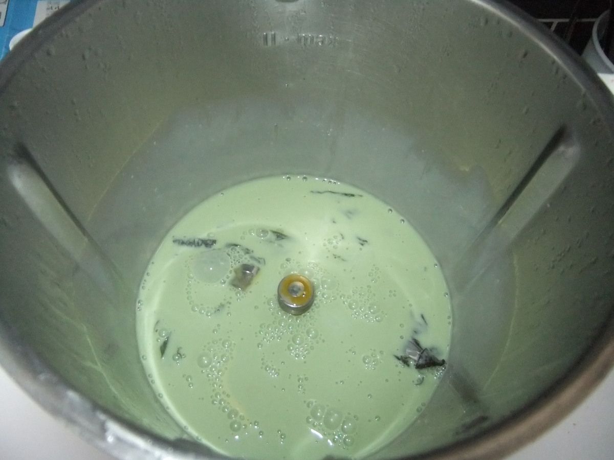 Glace Menthe Fraiche Chocolat Au Thermomix Mes Petites Recettes Du Quotidien