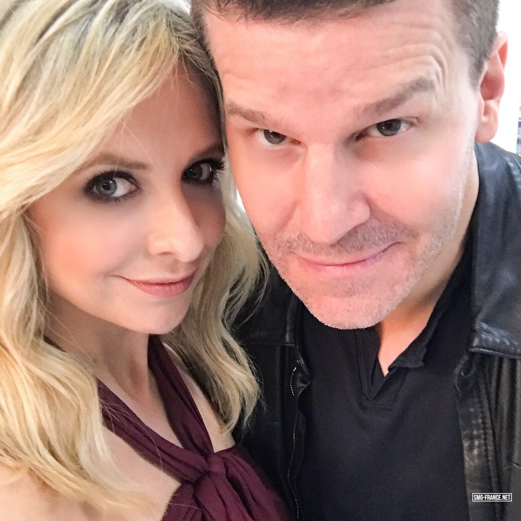 David Boreanaz Et Sarah Michelle Gellar En Couple
