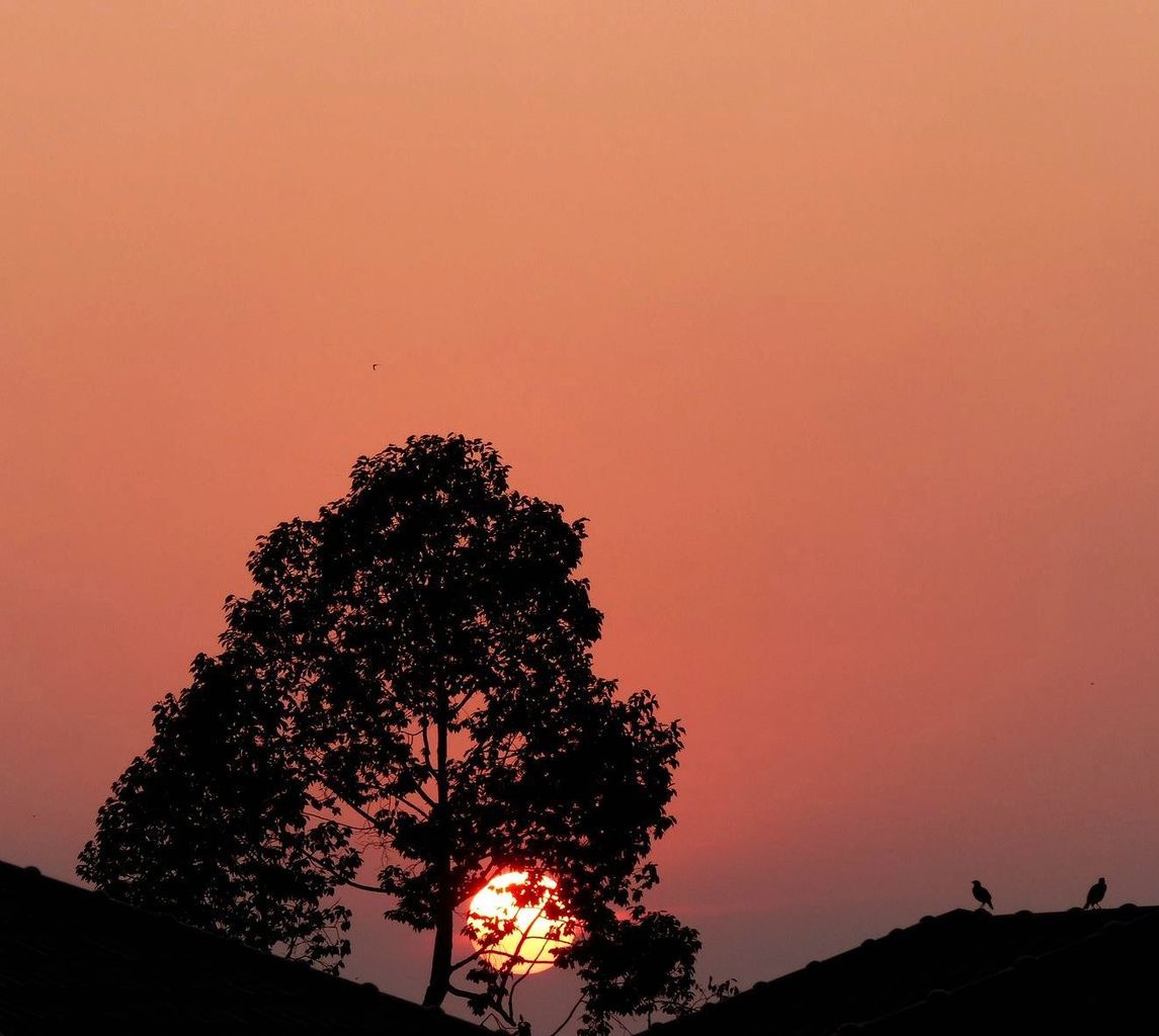 Du jour au lendemain... - La couleur du ciel (19-16)