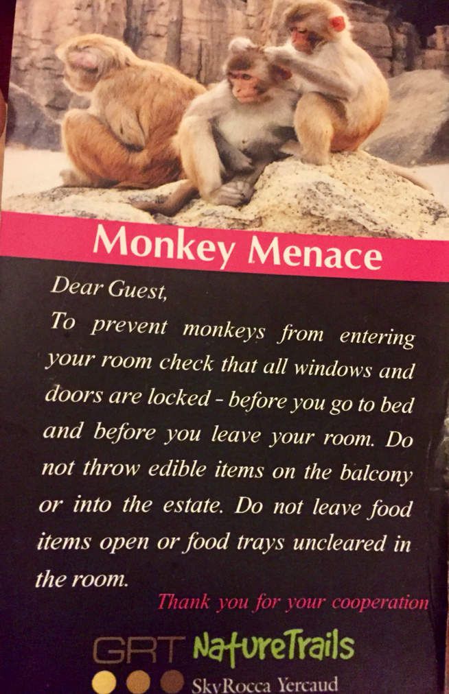 Quand les singes ne sont pas nos amis